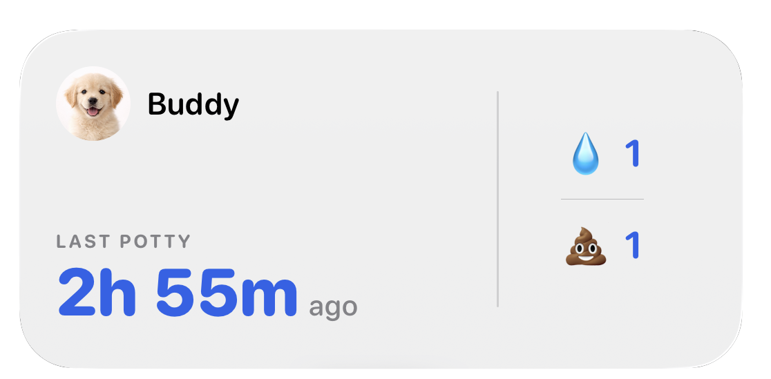PottyTime Medium Widget